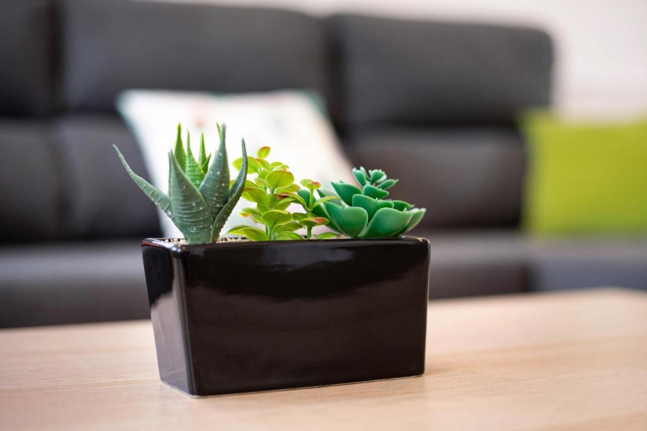 アンティグア Casa Cactusヴィラ エクステリア 写真
